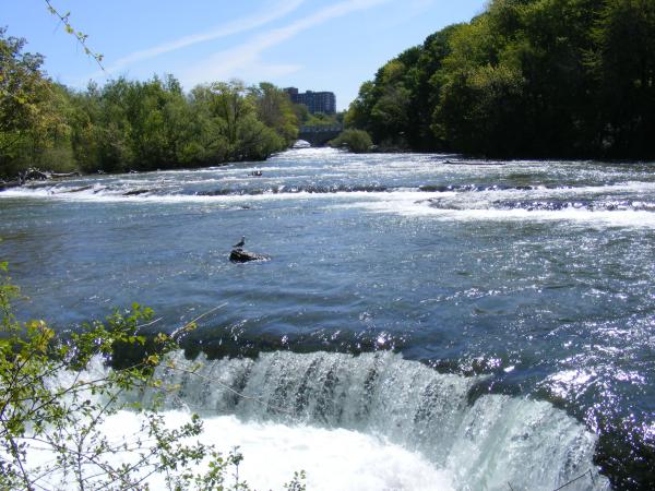Beauty of Niagara Falls