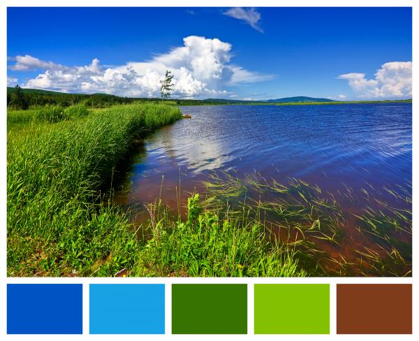 Beaver Brook Color Palette Sampler