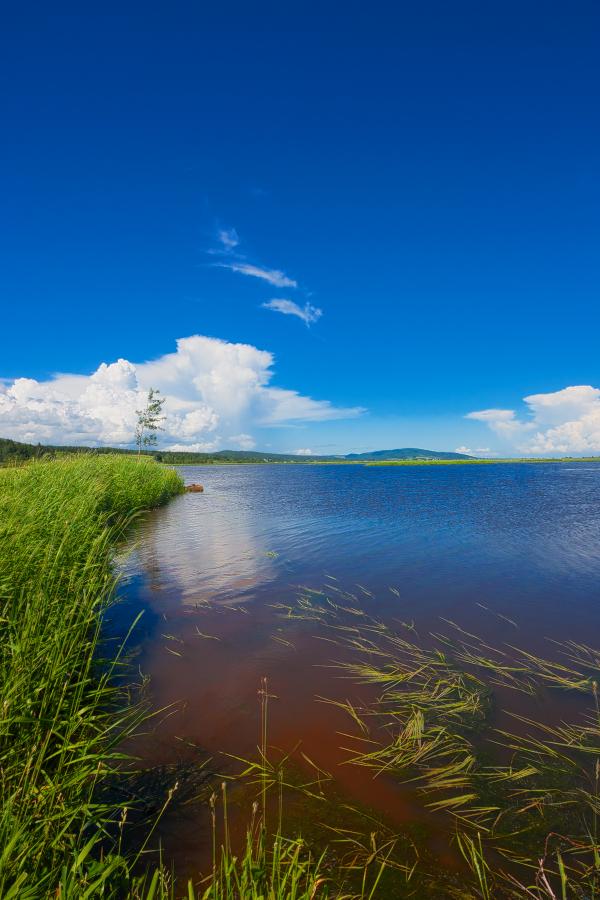 Beaver Brook Scenery - HDR