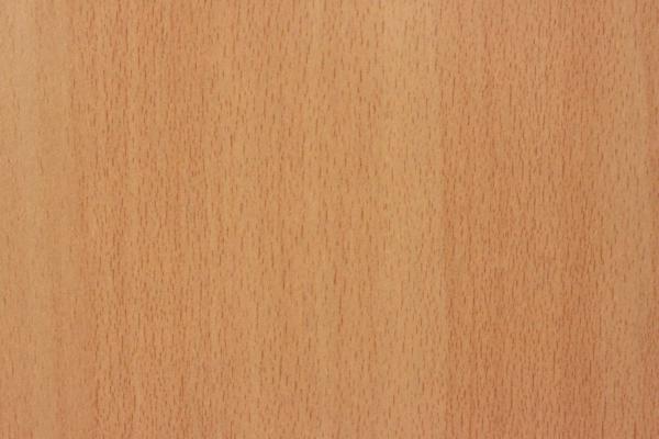 beech wood texture