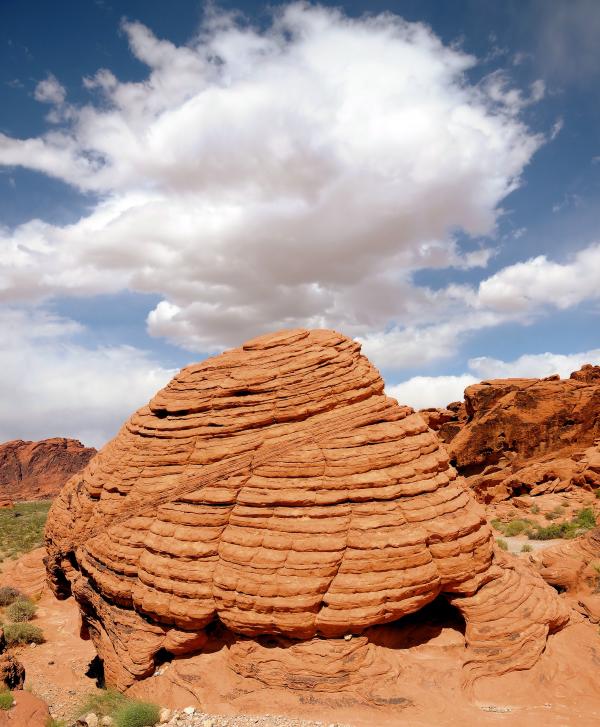 Beehive