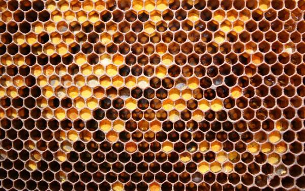 Beehive texture