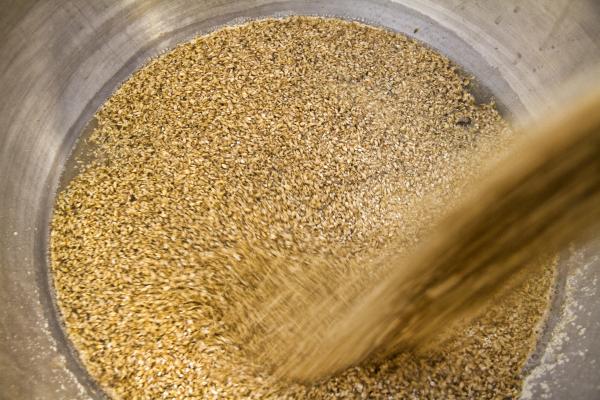 Beer Making