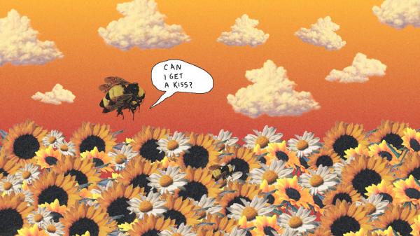 Bees kiss