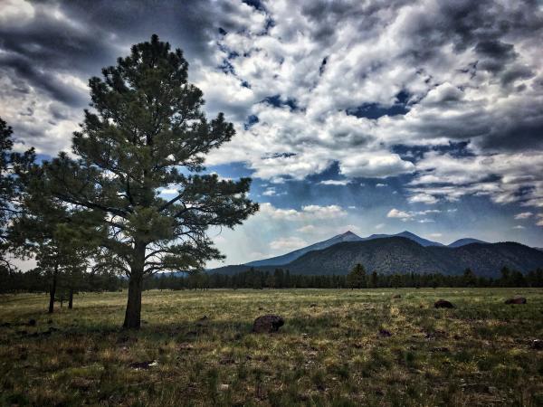 Behold, San Francisco Peaks