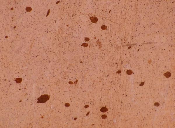 Beige Concrete Background