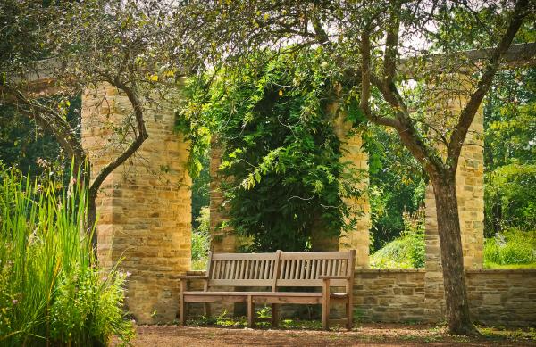 Bench Between the Two Trees