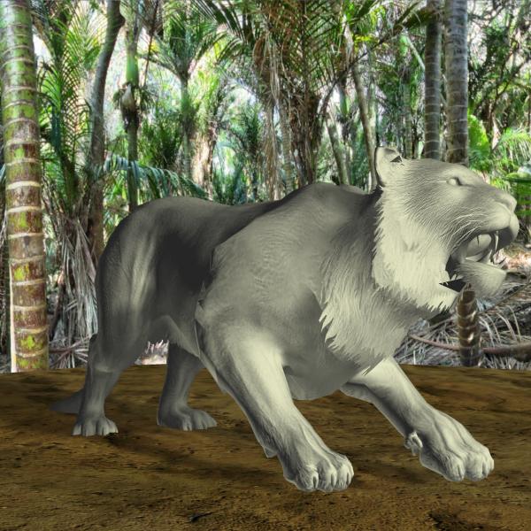 Bengal Tiger