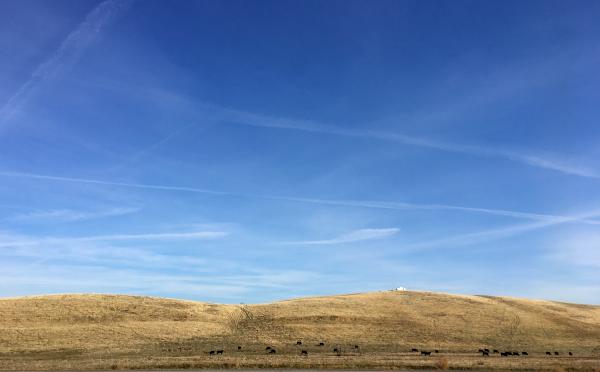 Bennenton Colors of California