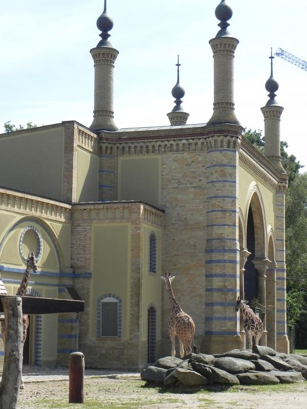 Berlin Zoo - Giraffes