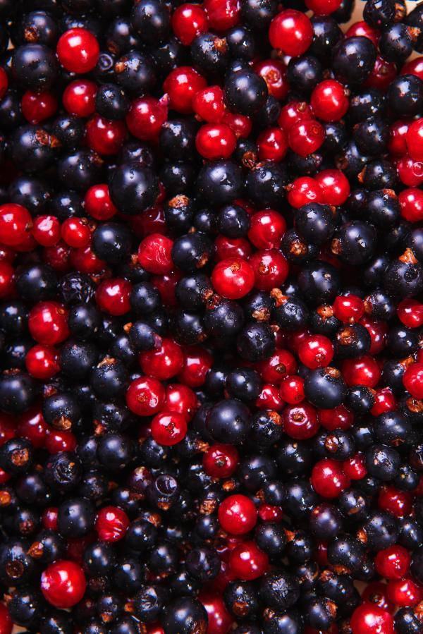 Berries