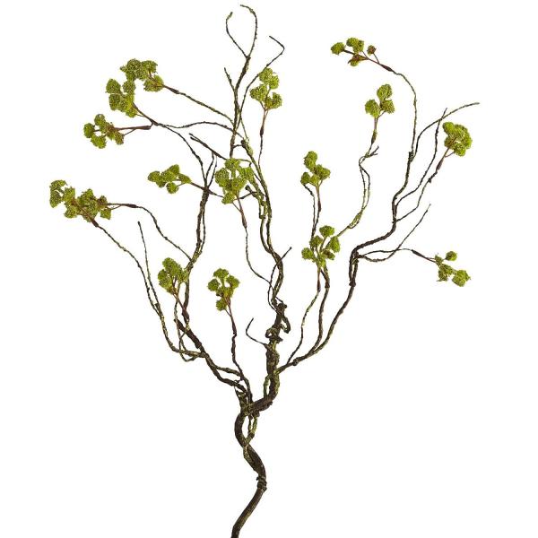 green branch