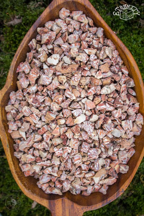 Betel nut