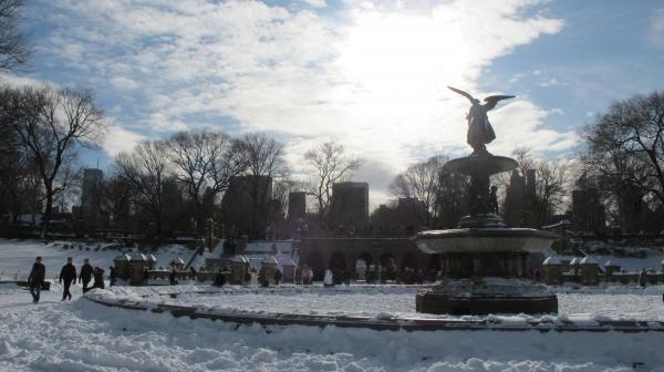 Bethesda Fountain in Winter