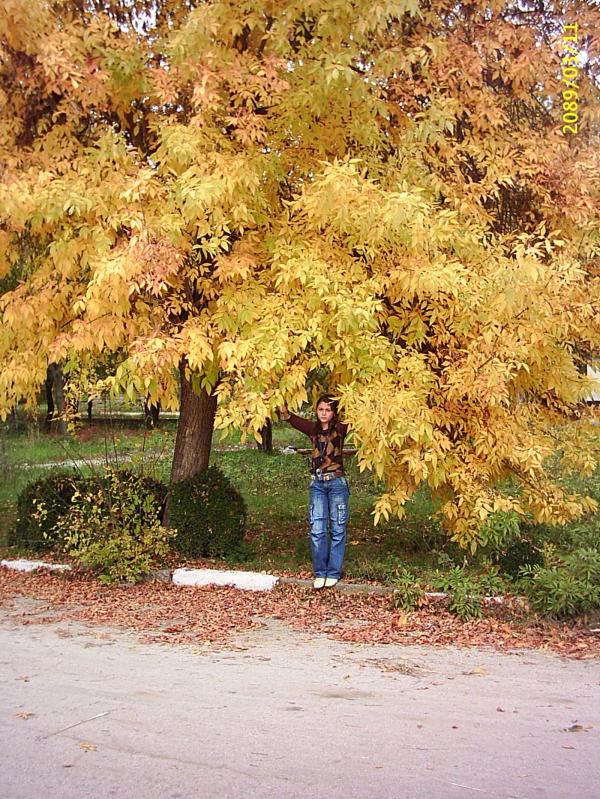 Betty under the golden tree