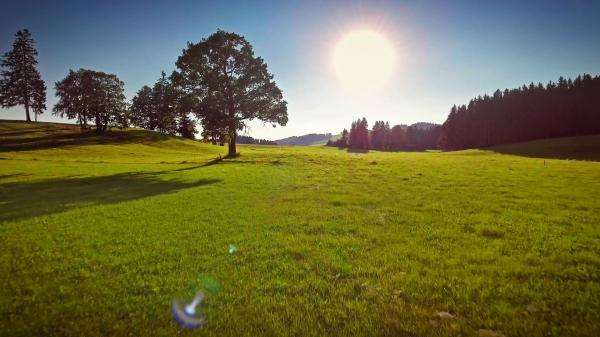 Beutiful field