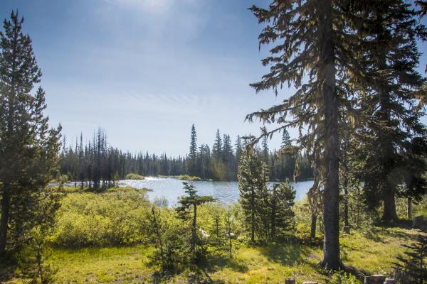 Big Lake, Oregon