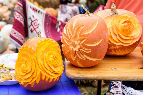 Big orange flower carved pumpkins, close up