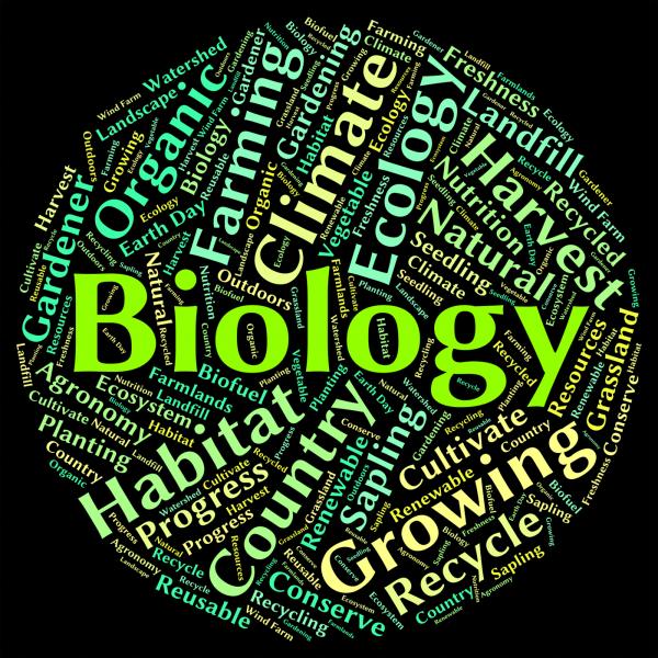 Biology Word Represents Animal Kingdom And Biological