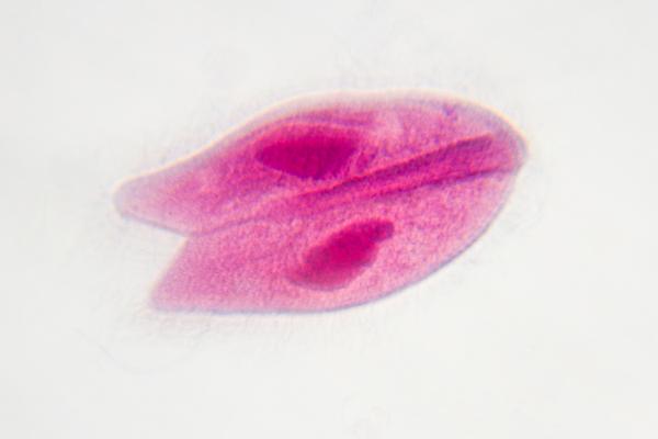 Biology