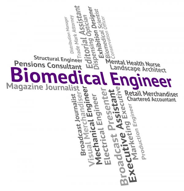 Biomedical Engineer Indicates Biomedicine Work And Words