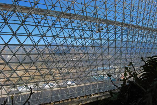 Biosphere Mesh