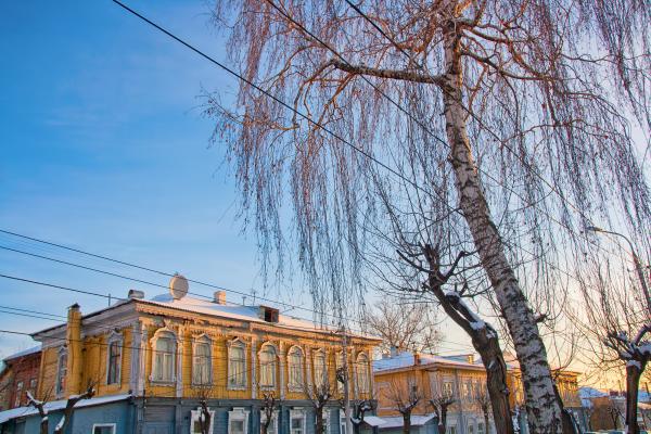 Birch on the street