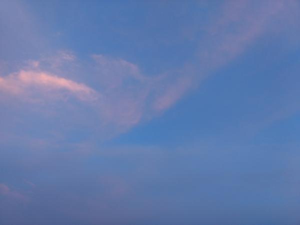 Bird like Clouds