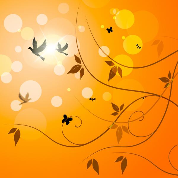 Birds Floral Indicates Petals Sunny And Florals