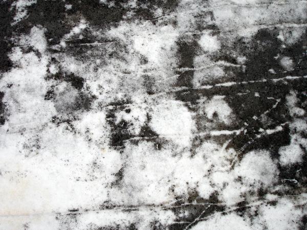 Black and white texture
