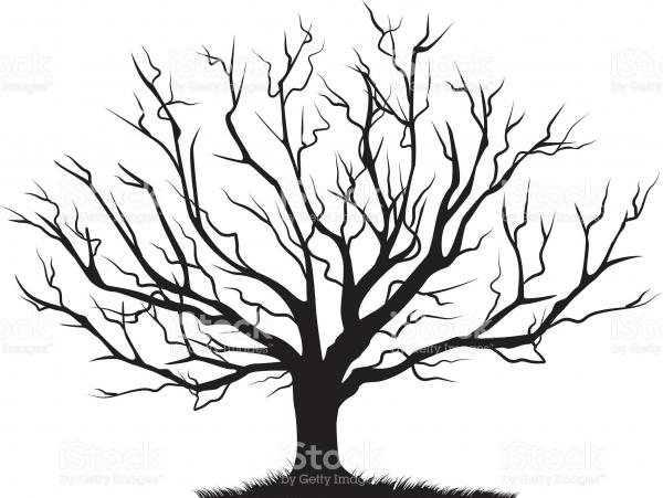 Windy Silhouette Tree