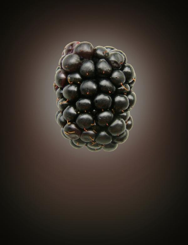 Black (Berry) on Black (Blackground)