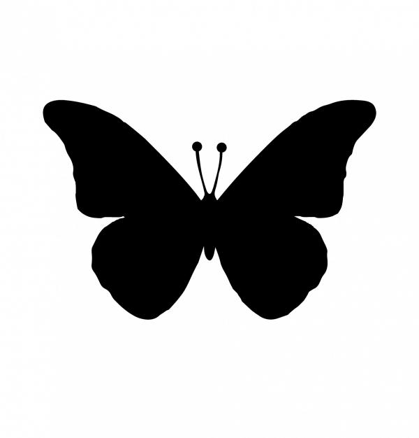Black butterfly
