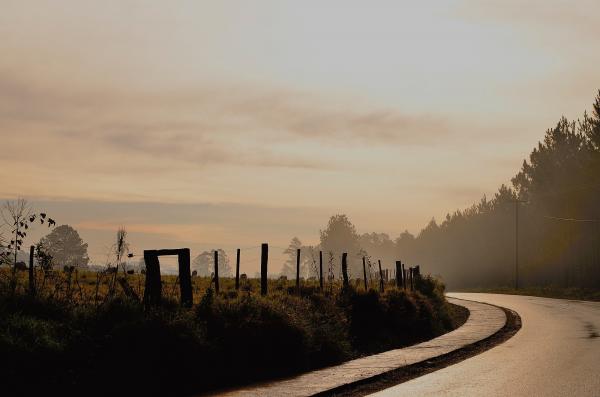 Black Curve Asphalt Road Beside Green Field