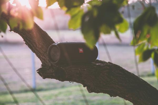 Black Jbl Bluetooth Speaker on Tree Branch