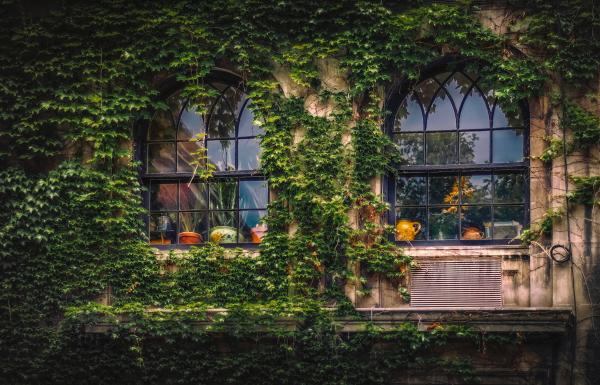 Black Metal Frame Glass Window