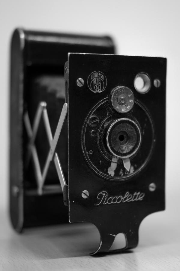 Black Piccolette