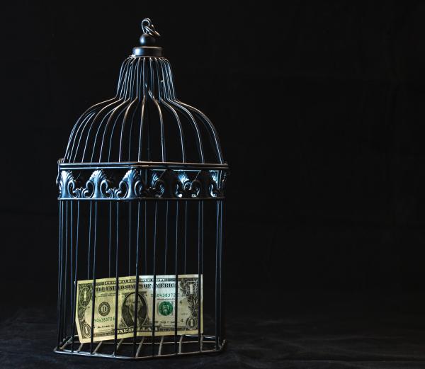 Black Steel Pet Cage With One Dollar