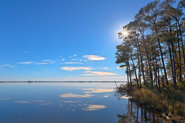 Blackwater Sunburst Marsh - HDR