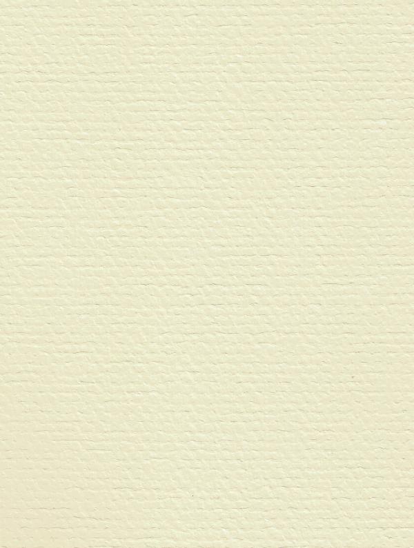 Paper Texture