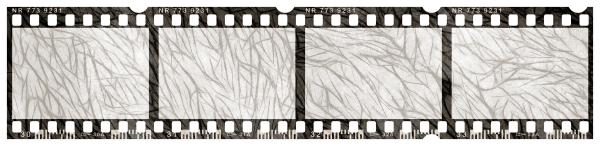 Blank Grunge Film Strip