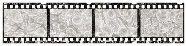 Blank Grunge Film Strip