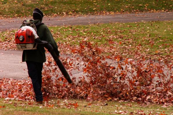 Blowing leaves