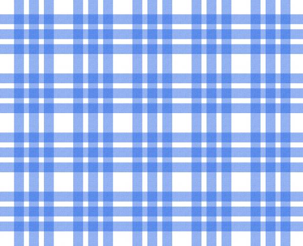 Blue and white tablecloth pattern