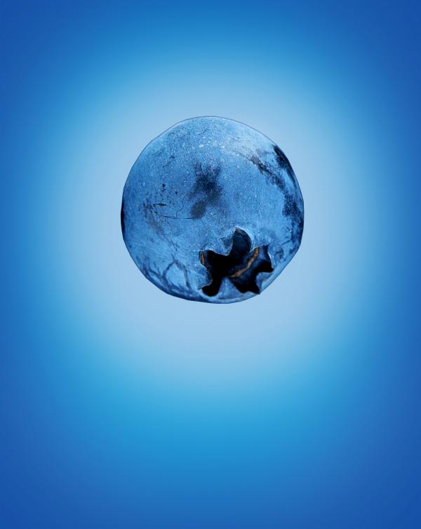 Blue (Berry) on Blue (Background)