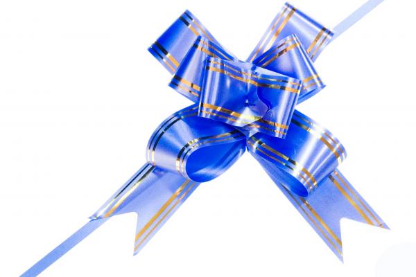 Blue bow