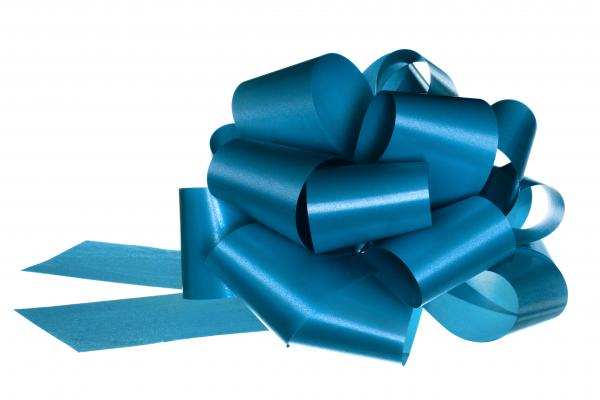blue bow