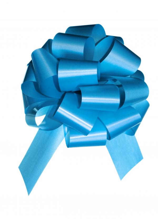 blue bow