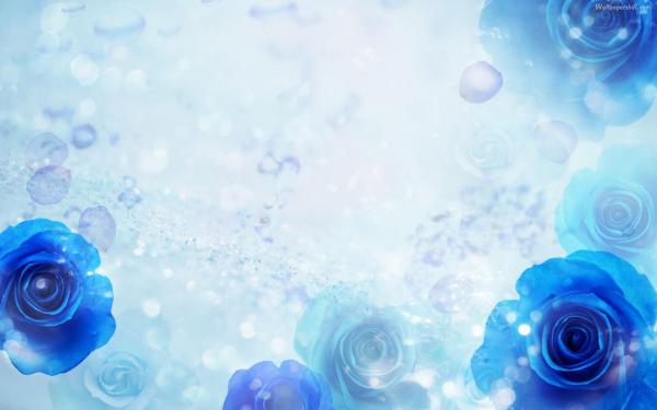Blue Flower