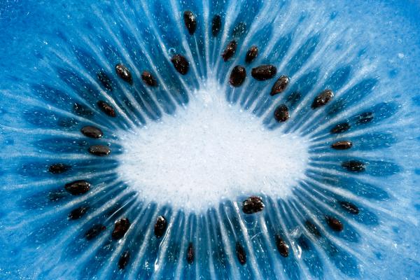 Blue Kiwi Slice Macro